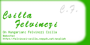 csilla felvinczi business card